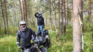 лесной Квадро прохват