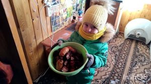 Супер отдых, советую всем! Шашлык, баня!