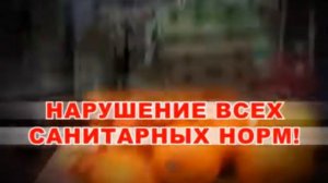 Профилактика острых кишечных инфекций