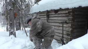 НА ИЗБУШКУ УПАЛО ДЕРЕВО / МЕДВЕДЬ ВЫБИЛ СТЕКЛО / ИДЁМ ПОСМОТРЕТЬ СОСТОЯНИЕ ИЗБЫ / ОХОТА В ТАЙГЕ.