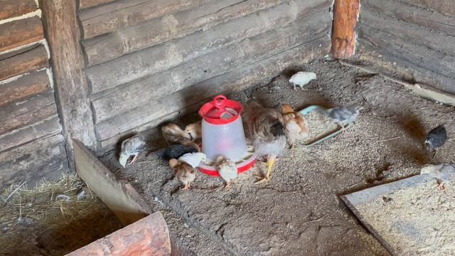 10-08-2023 смотреть онлайн