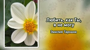 Любить, как Ты, я не могу - Я на любовь любовью отвечаю... (+)