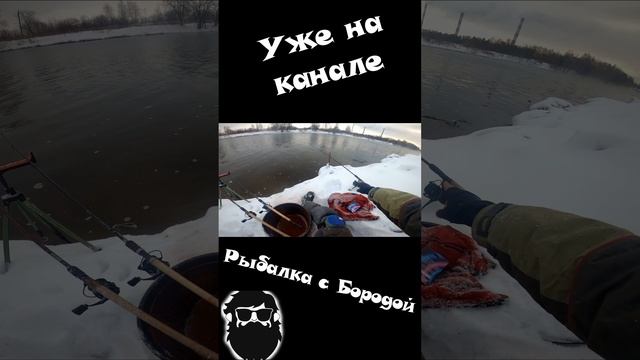 4. Лучшая леска для рыбалки #Shorts