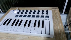 Arturia Mini Lab Mk II - Live Looping