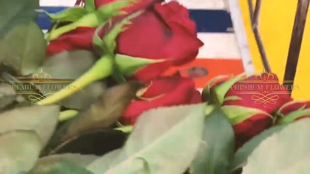 Доставка высоких и разноцветных роз, а также голландских пионов в Москве смотреть онлайн