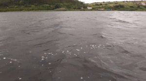 Микроджиг...плотва и красноперка, ловля на ультралайт