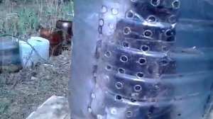 Загадка долгоживущих пчёл разгадана.
