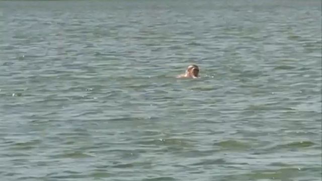 Роспотребнадзор гарантирует безопасность отдыха на губкинском пляже смотреть онлайн