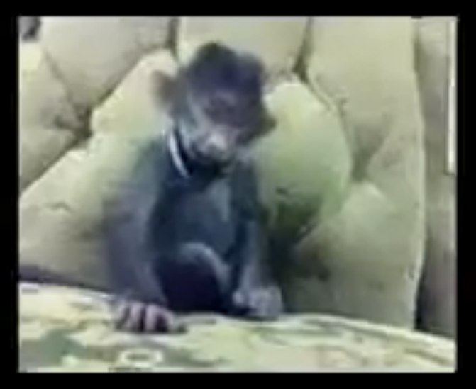 Обезьянка_ХохМач_) смотреть онлайн