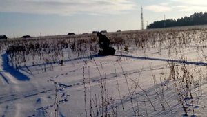 Снегоход Ларвен