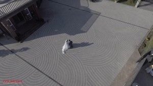 Расул и Хадижат Love Story