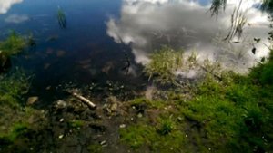 Озеро Озерецкое