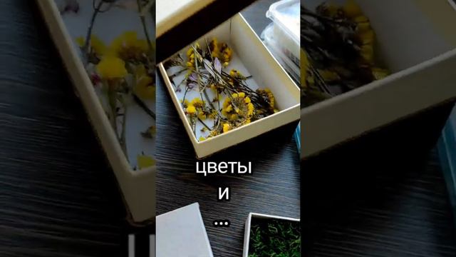 Миниатюра Лето Природа Кукольный дом Цветы под стеклом|Miniature Summer Nature Dollhouse Flowers