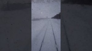 Поезд восток бийск барнаул из последнего вагона 28.02.2020