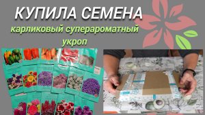 Купила новые семена на 2024 год.Карликовый суперароматный укроп.Новинка.