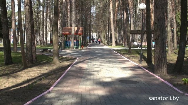 Санаторий Лётцы - территория и природа, Санатории Беларуси