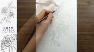 가을 정원 숨겨진 꽃의 여왕 | 다알리아(달리아) 스케치와 전사과정 | Dahlia Drawing