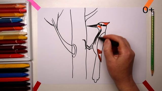 какнарисовать ДЯТЕЛ Уроки рисования для детей howtodraw woodpecker drawforchildren