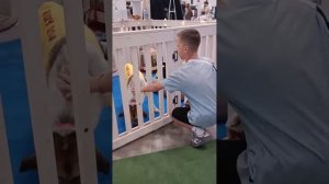 Путь Домой 02.09.2023. Фестиваль животных Спб