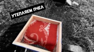 УТЕПЛЯЕМ ПЧЁЛ К ЗИМЕ/ПЧЕЛОВОДСТВО ДЛЯ НАЧИНАЮЩИХ/УЛЕТАЮТ ПЧЁЛЫ ОСЕНЬЮ