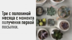 Три с половиной месяца с момента получения первой посылки. Первые срубленные головы )))