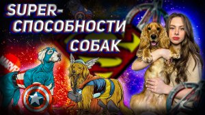 СУПЕР-СПОСОБНОСТИ СОБАК!