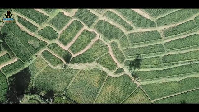 SHOLAWAT JIBRIL - LISNA (Sholawat Cover) смотреть онлайн