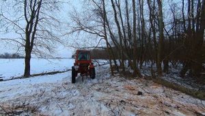 Т-25 и заготовка дров.