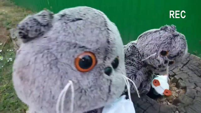 На прогулке Сеня сломал лапку смотреть онлайн