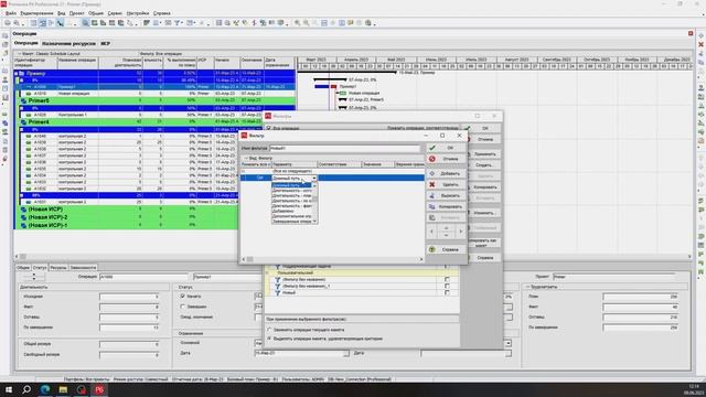 Как настроить фильтры в Primavera P6?