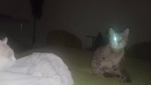 Ну что, уже понедельник! Кто чем занят? смотреть онлайн