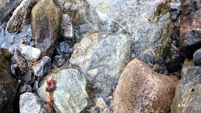 Norway. Qooder quadro. Весенняя поездка на 4 дня. 1300 км смотреть онлайн