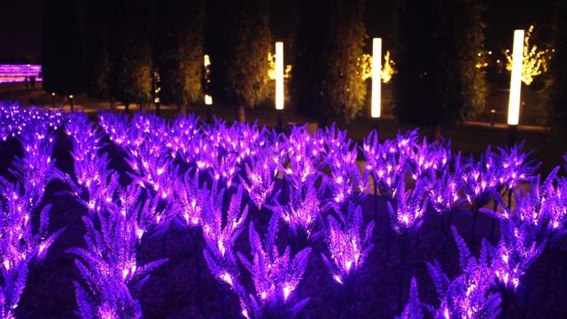 Ночной парк Галицкого г. Краснодар 2020-2021/ Часть 1 смотреть онлайн