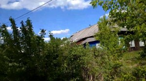 Поселок Черусти, Подмосковье, Мещера 🌲🌳🌿