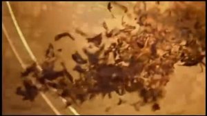 Реклама Майский чай (2010-2011)