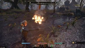 Как в teso получить временного боевого компаньона