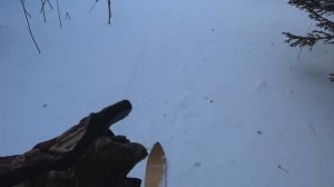 1/2. ШОК! ЗАСРАННАЯ ИЗБА В ТАЙГЕ. Поход. Сибирь. Камусные лыжи, буран, АБВГАТ.