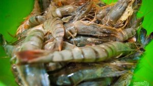 Гигантские креветки