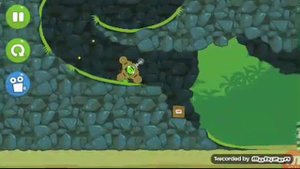 Зеленые свинки 1