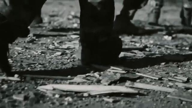 РУССКИЕ ВПЕРЁД 🤙🤙🤙