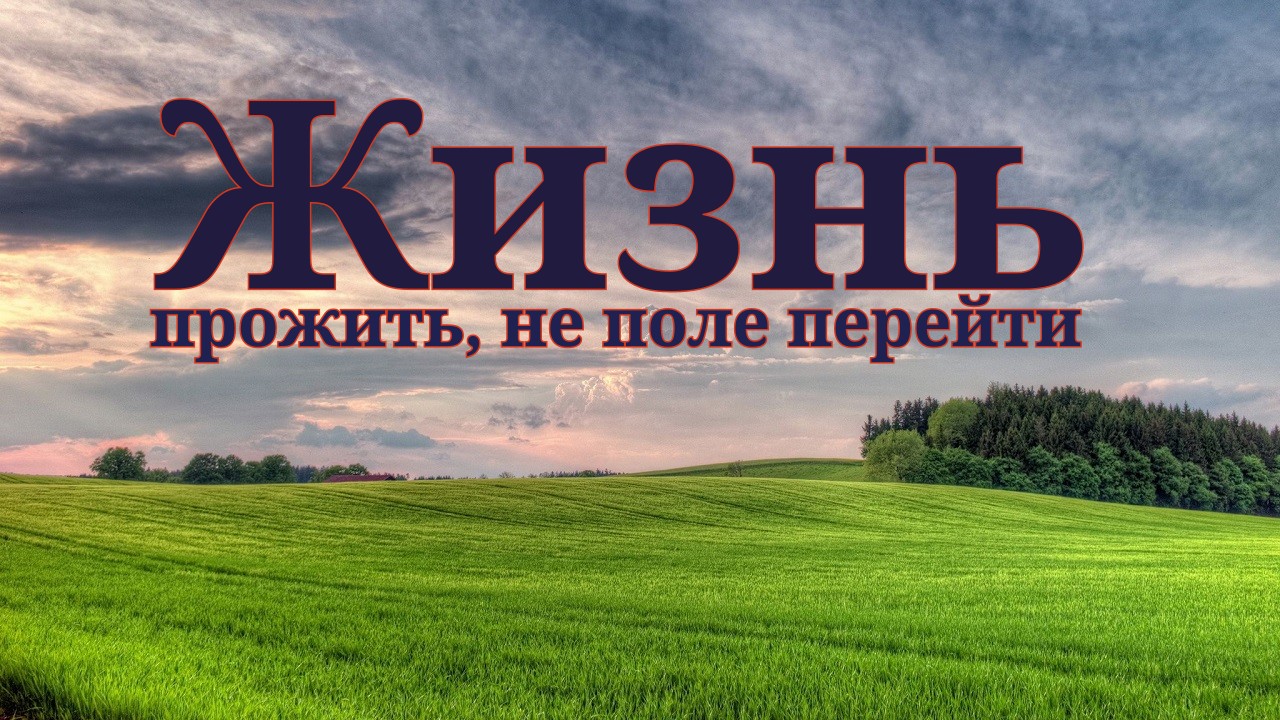 Олег И Сережа Хотят Купить