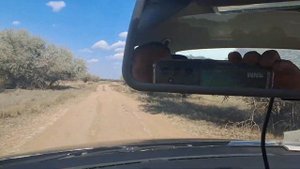 Волгоградское водохранилище,  Ахтуба, пойма Волги  (2024г.)