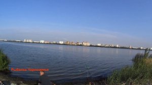 Воронежское водохранилище Крупная плотва