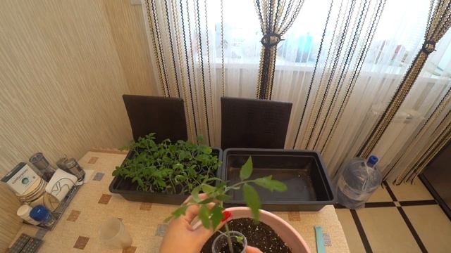 Моя рассада 2 часть смотреть онлайн