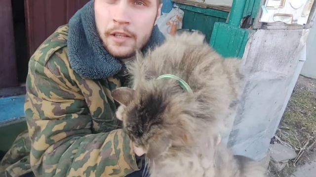 ВАКЦИНАЦИЯ #КРОЛИКОВ | МИКСОМАТОЗ | ПРИВИВКИ смотреть онлайн