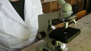 Микроскопия мазка