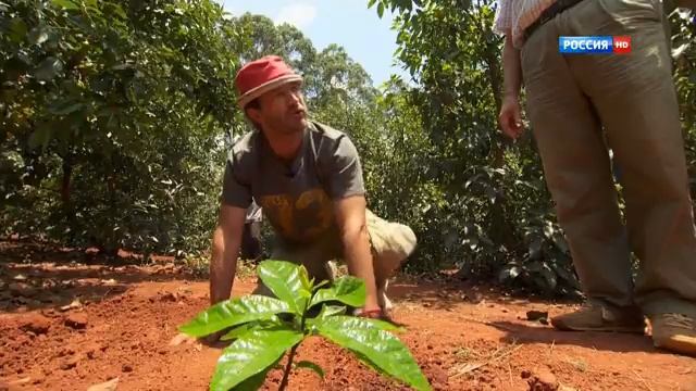 Бурунди. Чем богаты с Андреем Понкратовым. смотреть онлайн