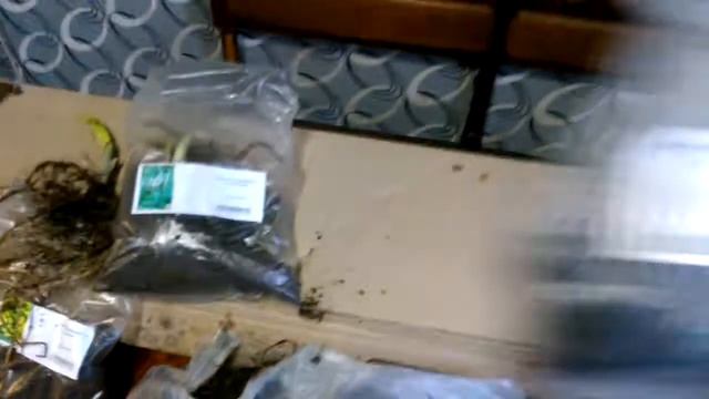 отзыв агромаркет флоксы для моего сада смотреть онлайн