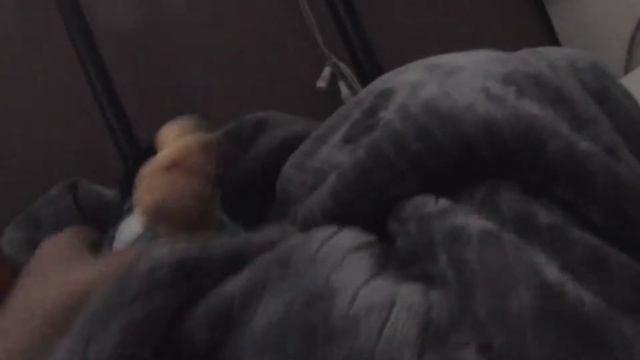 Angry Birds Halloween special смотреть онлайн