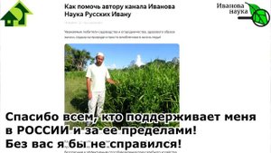 ЧТО-ТО НОВЕНЬКОЕ! Салатная овощная хризантема - познакомьтесь. попробуйте - будете в ВОСТОРГЕ!